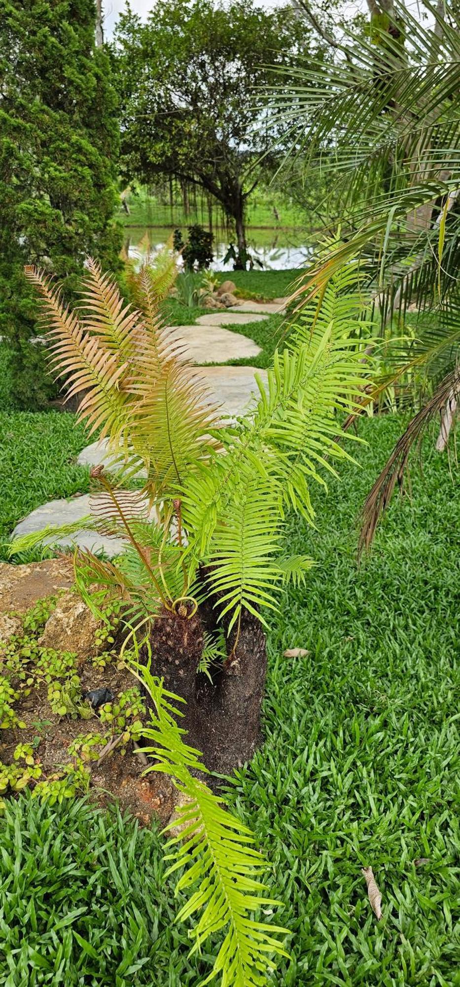 Homdoiintr Farmstay ฮ่อมดอยอินทร์ ฟาร์มสเตย์ Ban Huai Kaeo Eksteriør bilde