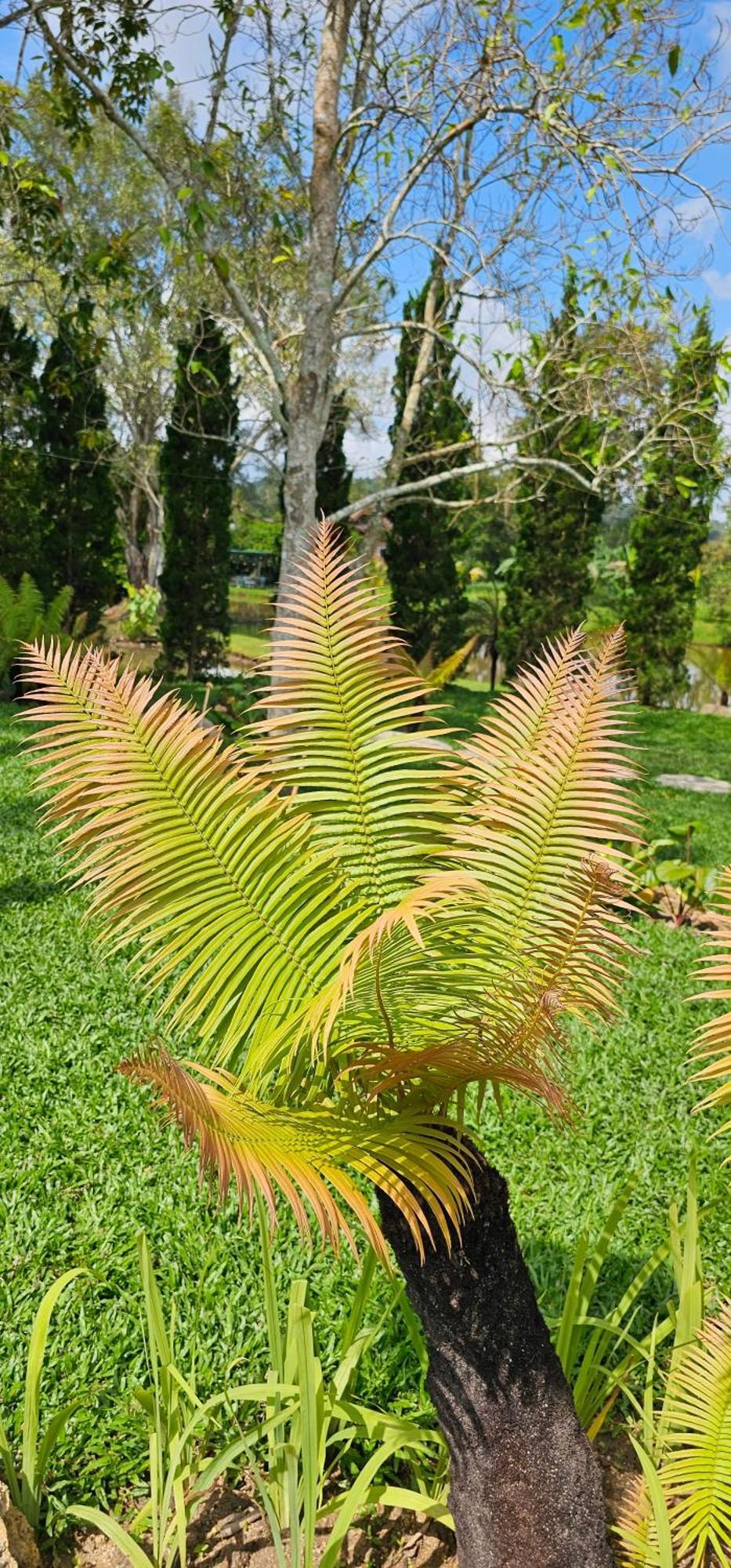 Homdoiintr Farmstay ฮ่อมดอยอินทร์ ฟาร์มสเตย์ Ban Huai Kaeo Eksteriør bilde