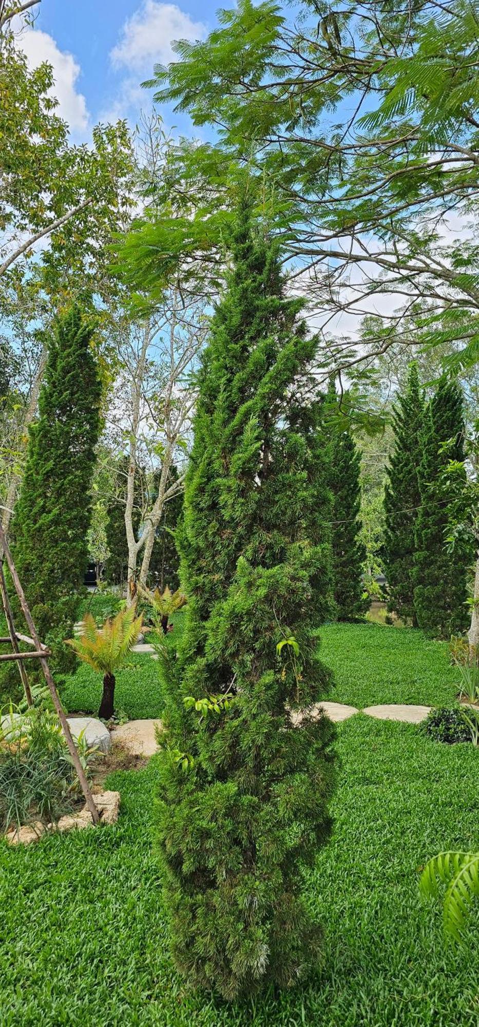 Homdoiintr Farmstay ฮ่อมดอยอินทร์ ฟาร์มสเตย์ Ban Huai Kaeo Eksteriør bilde