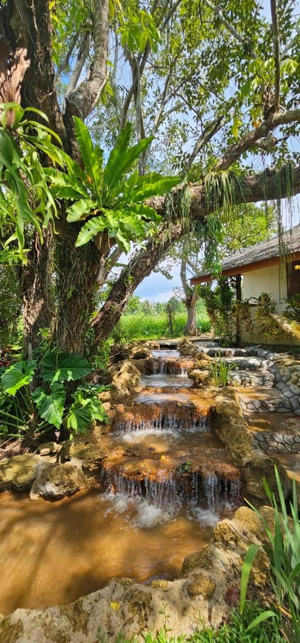 Homdoiintr Farmstay ฮ่อมดอยอินทร์ ฟาร์มสเตย์ Ban Huai Kaeo Eksteriør bilde