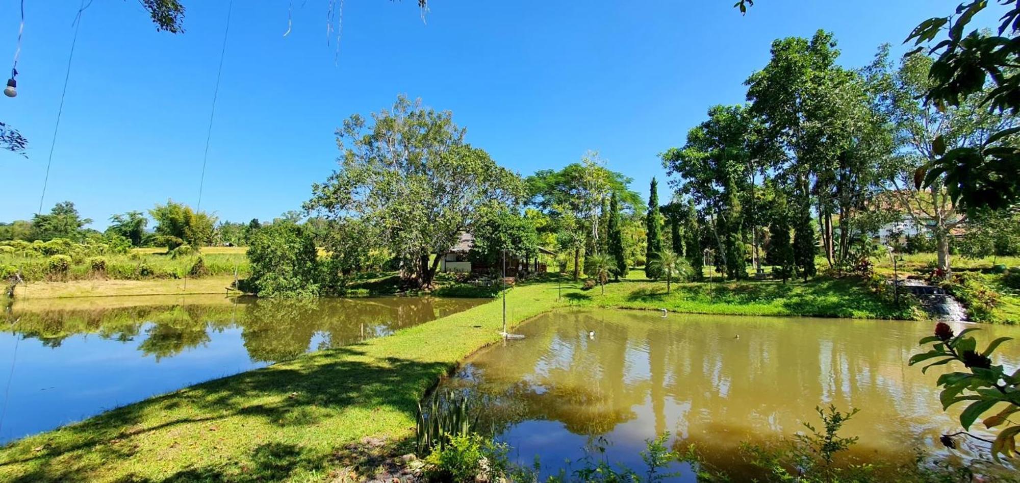 Homdoiintr Farmstay ฮ่อมดอยอินทร์ ฟาร์มสเตย์ Ban Huai Kaeo Eksteriør bilde